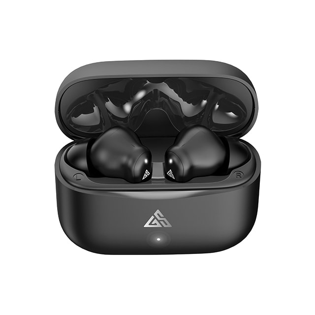 G101 Noise-Cancelling Earbuds with Built-In Microphones