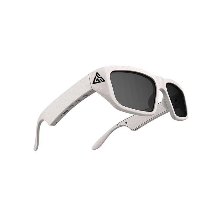 Glorystar AI Translation Bluetooth Glasses