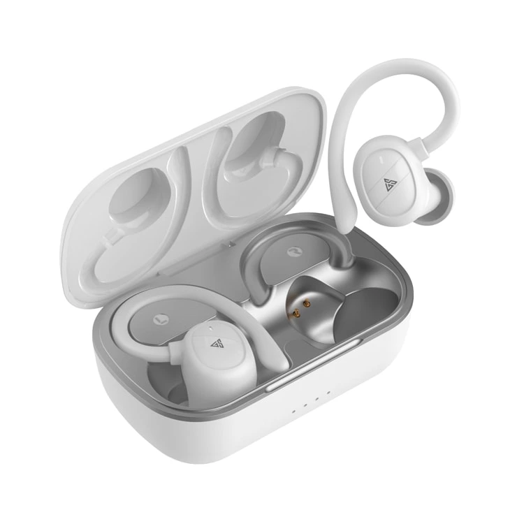 Glorystar Earhook Sport Earphones