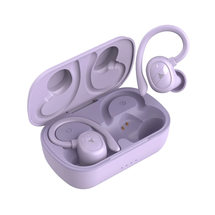 Glorystar Earhook Sport Earphones