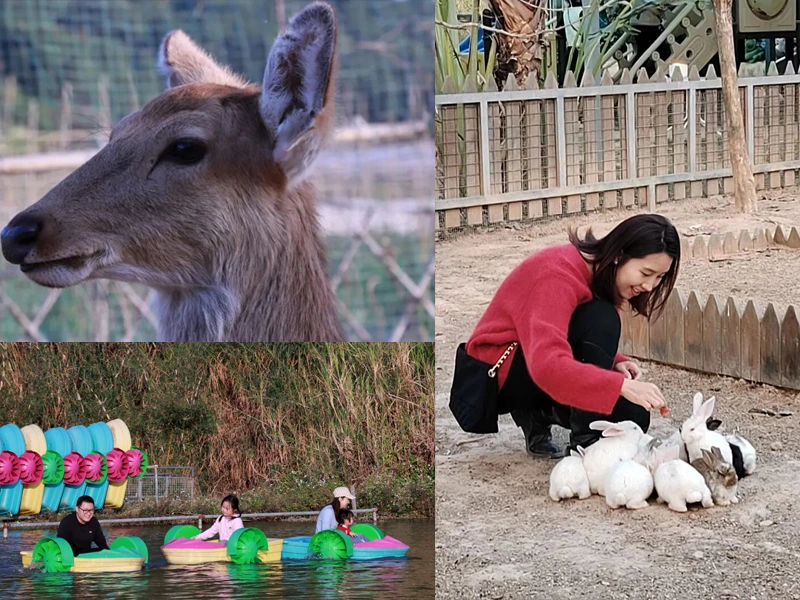 New Year Retreat Activity photos